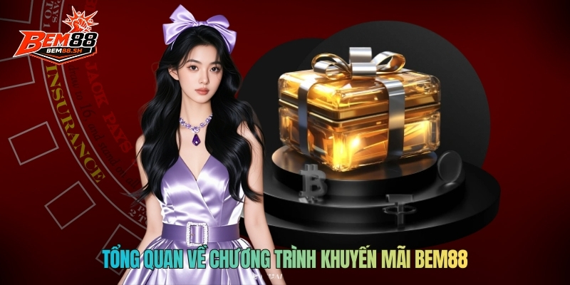 Tổng quan về chương trình khuyến mãi BEM88