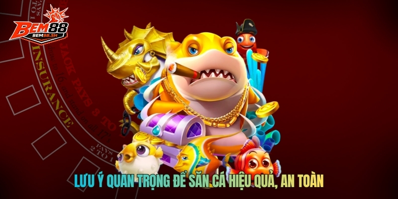 Lưu ý quan trọng để săn cá hiệu quả, an toàn