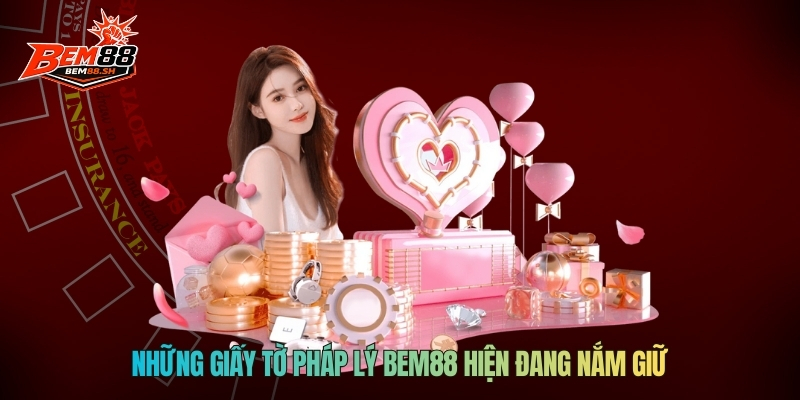 Những giấy tờ pháp lý BEM88 hiện đang nắm giữ